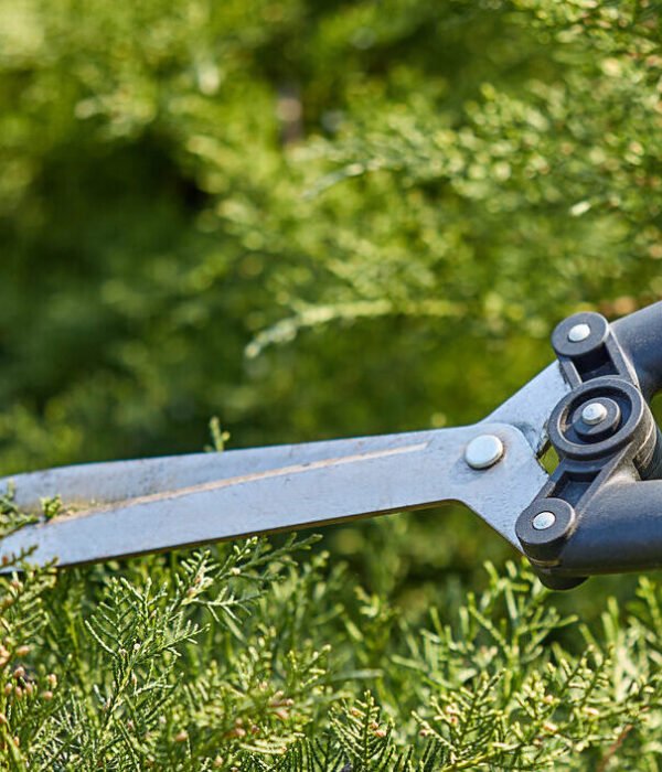 Wir kümmern uns zuverlässig um die Pflege Ihrer Gartenanlagen und sorgen für ein sauberes und gepflegtes Erscheinungsbild.